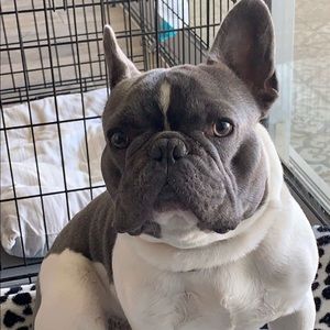 Meet your Posher, Matt